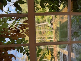 Autumn view through old window panes with leaves in the foreground