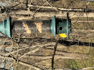Goldfinch at the bird feeder