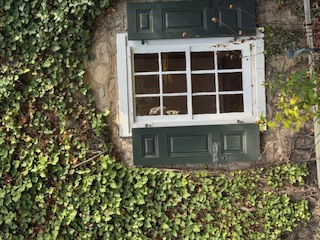 Ivy-covered stone wall with shuttered window